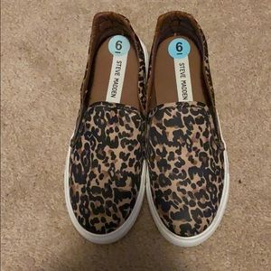 Leopard print steve maddens